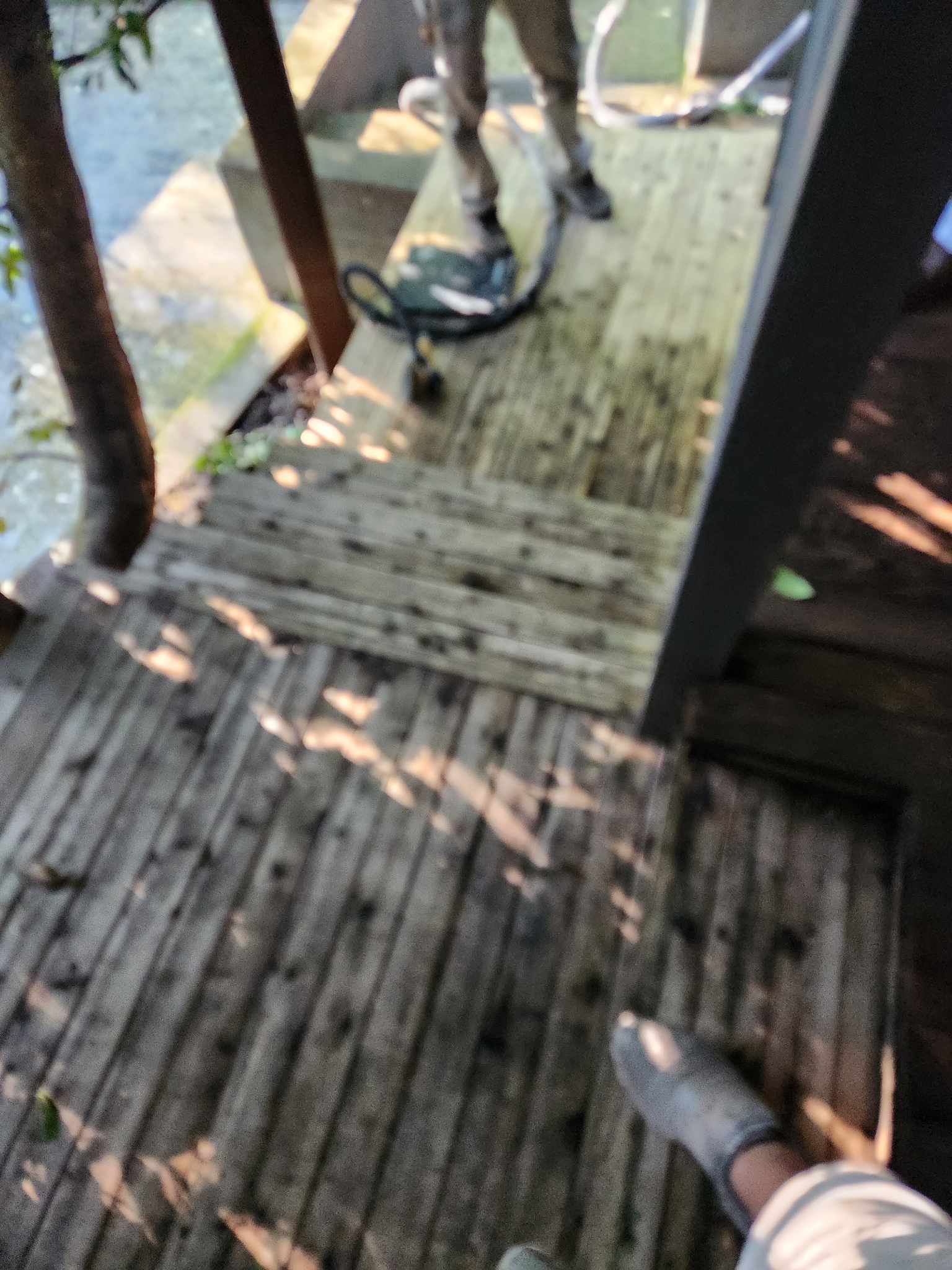 davida-painting-img56