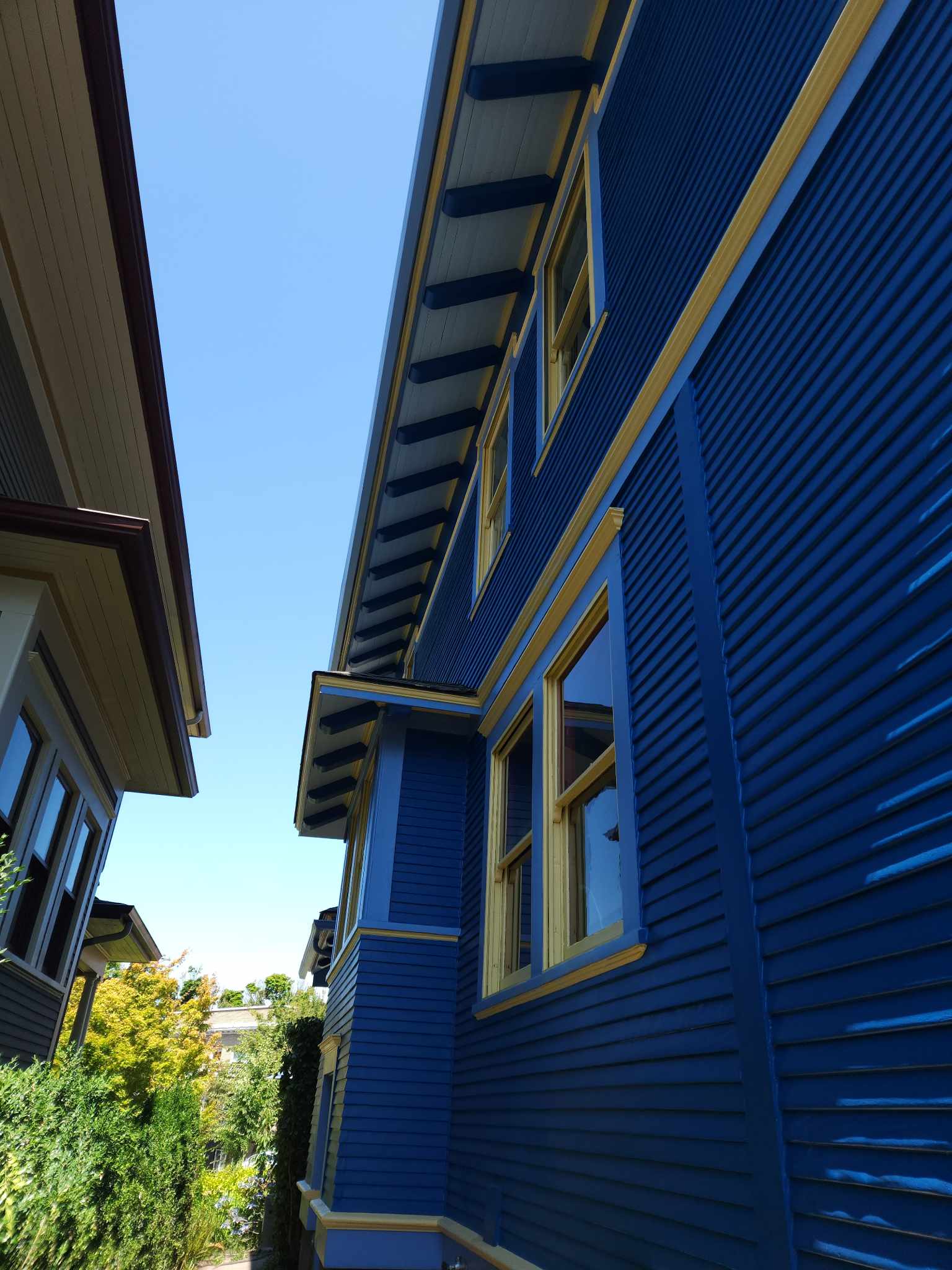 davida-painting-img49