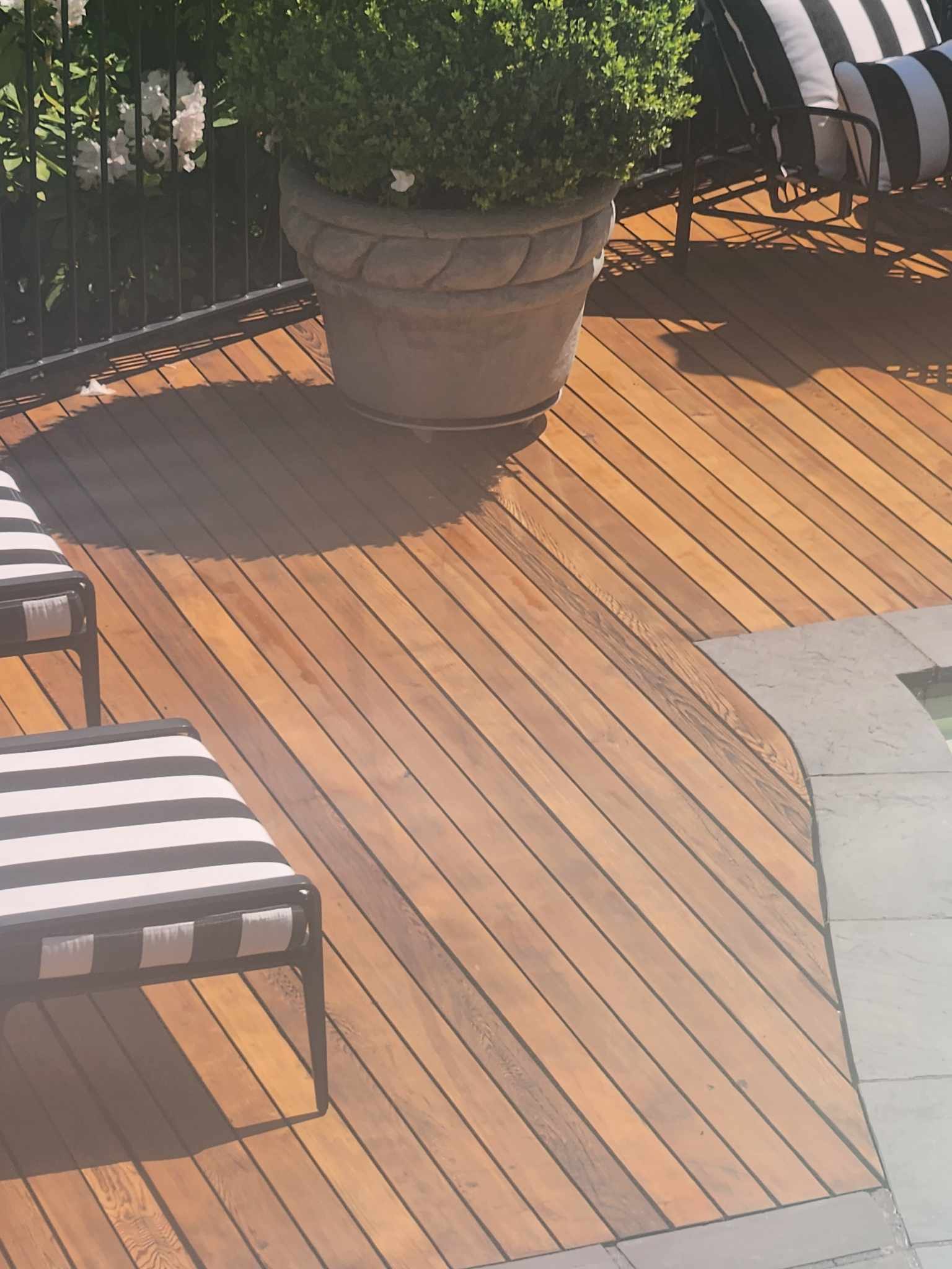 davida-painting-img50