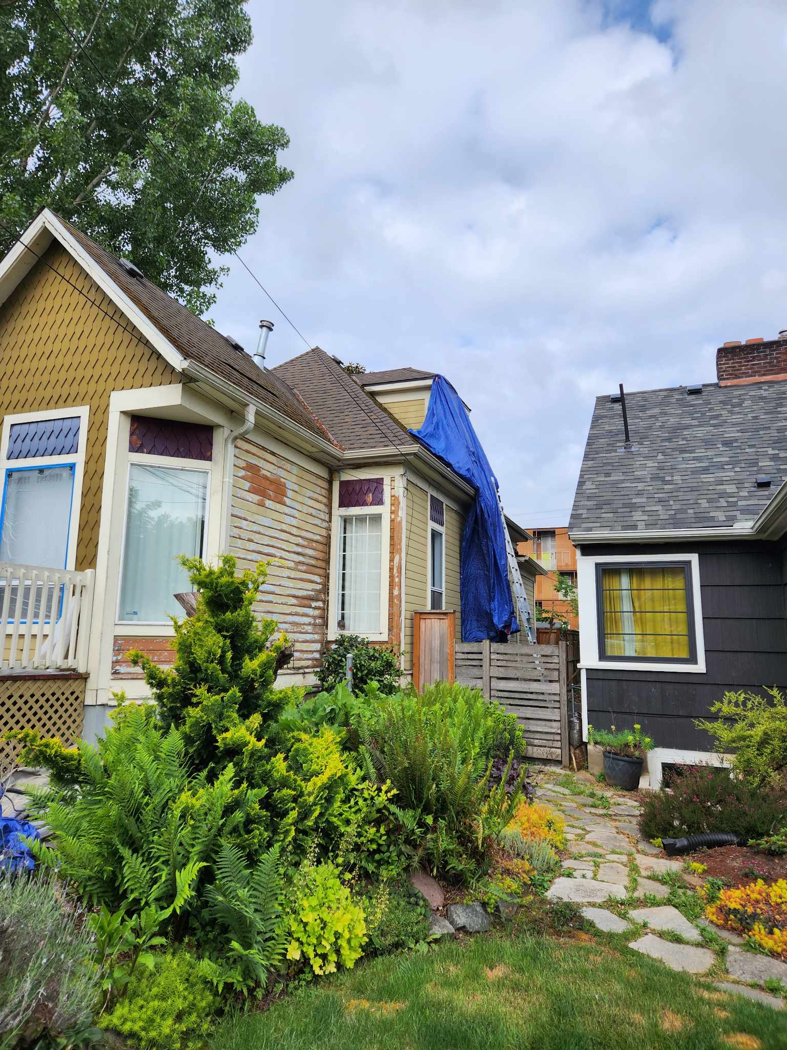 davida-painting-img51