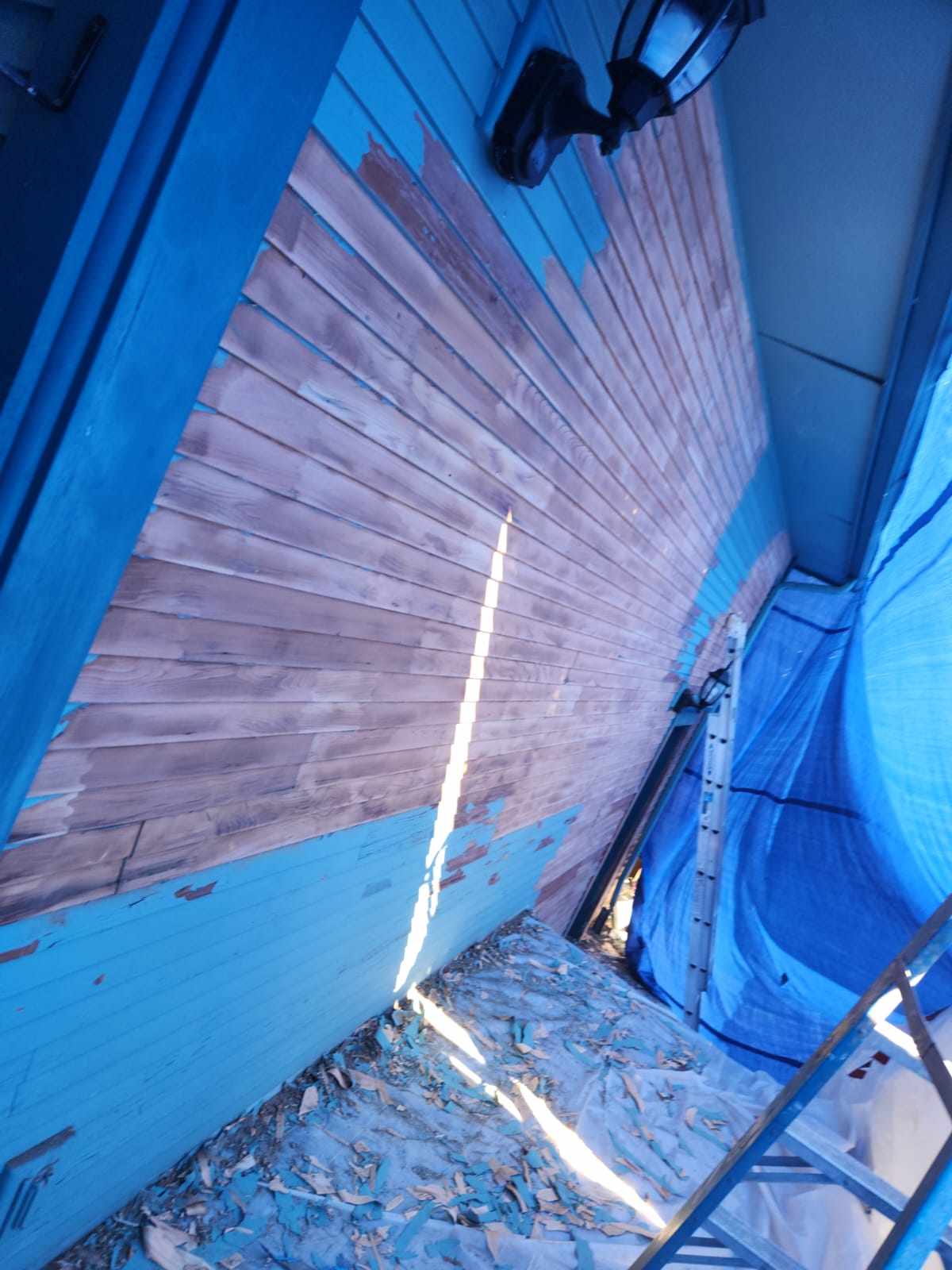 davida-painting-img44