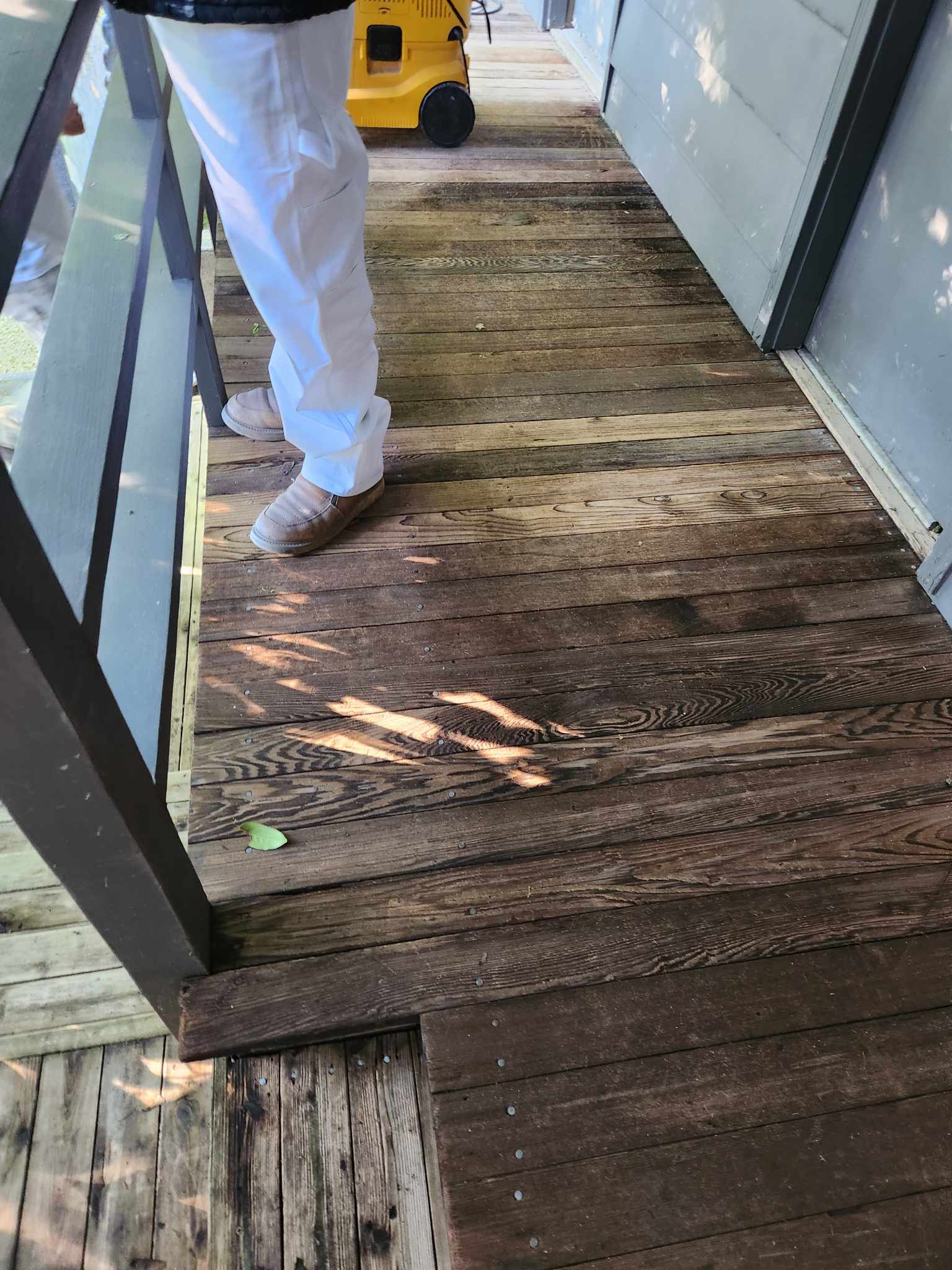 davida-painting-img43