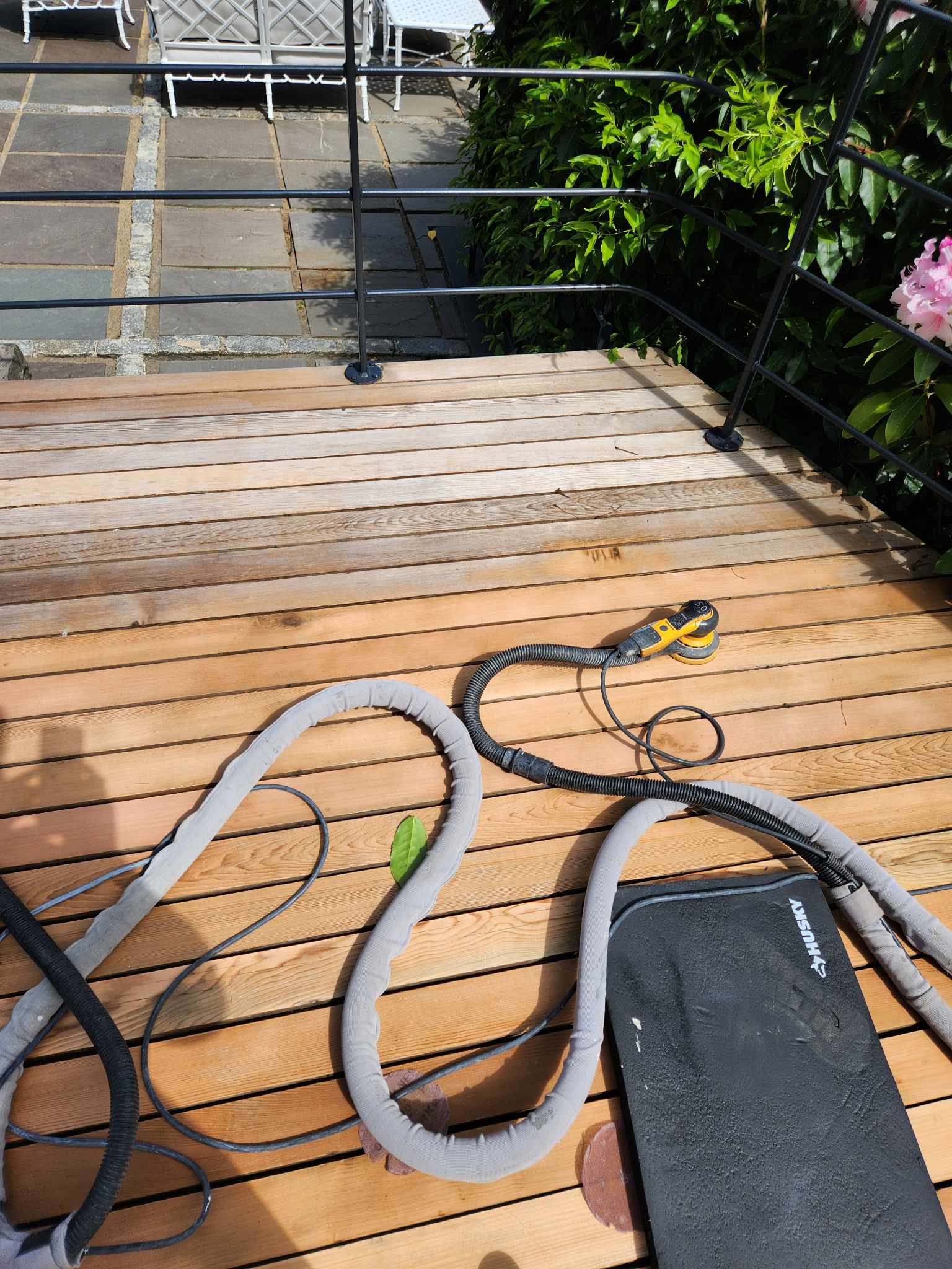 davida-painting-img39