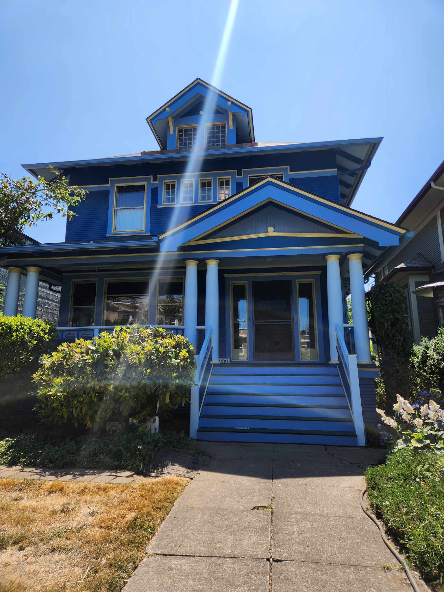 davida-painting-img37