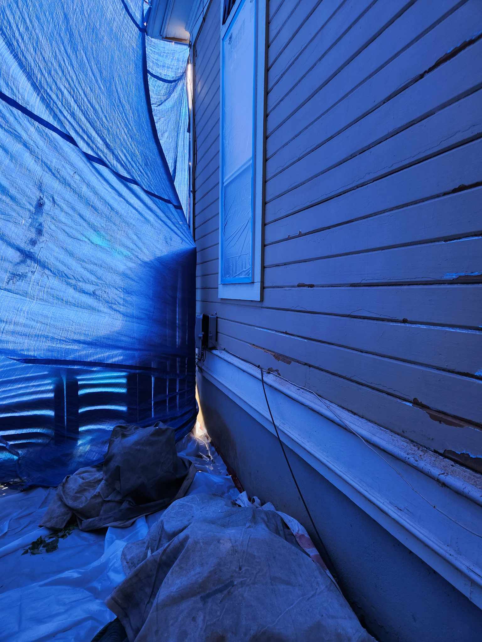 davida-painting-img31