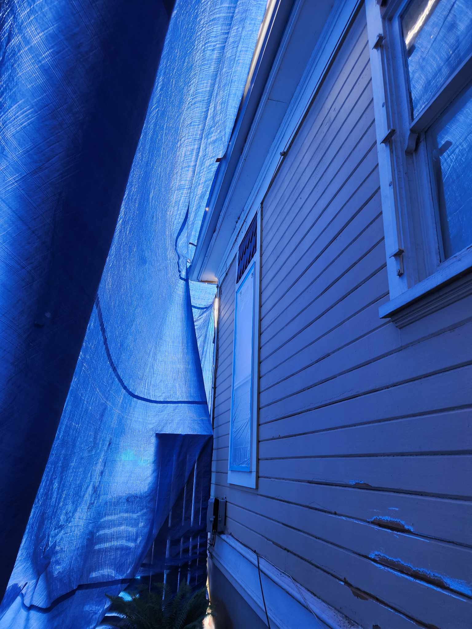 davida-painting-img35