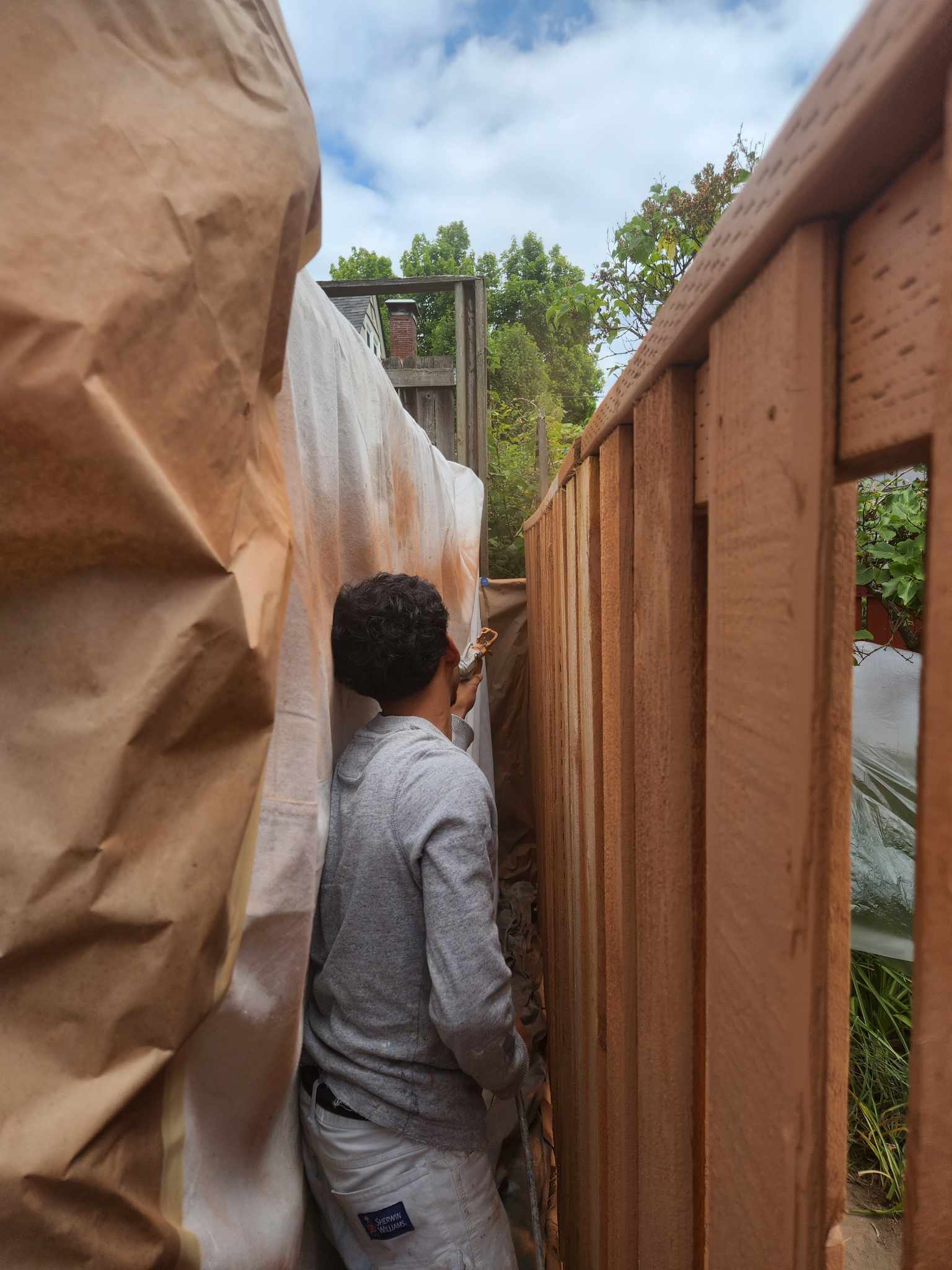 davida-painting-img34