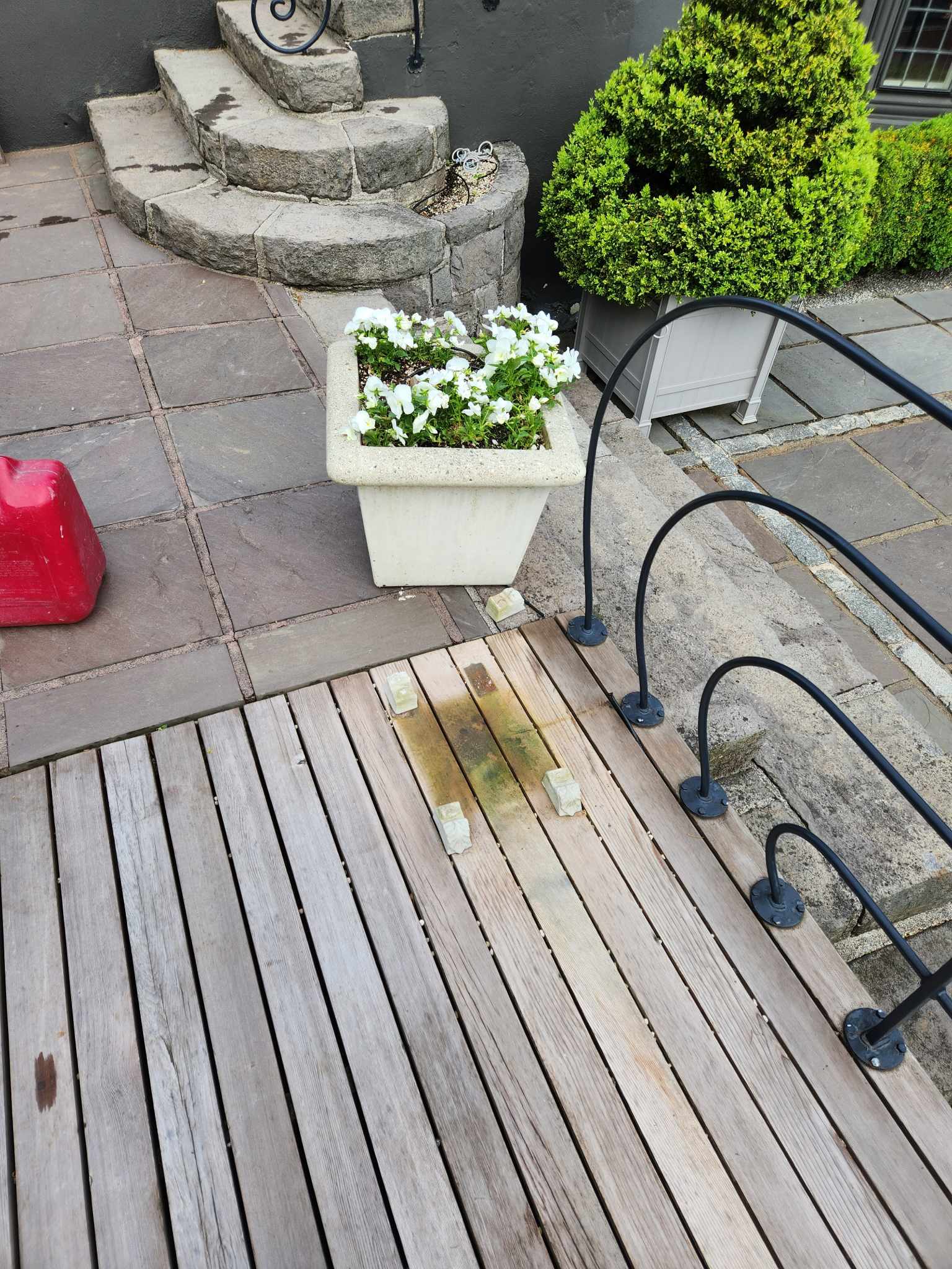 davida-painting-img25