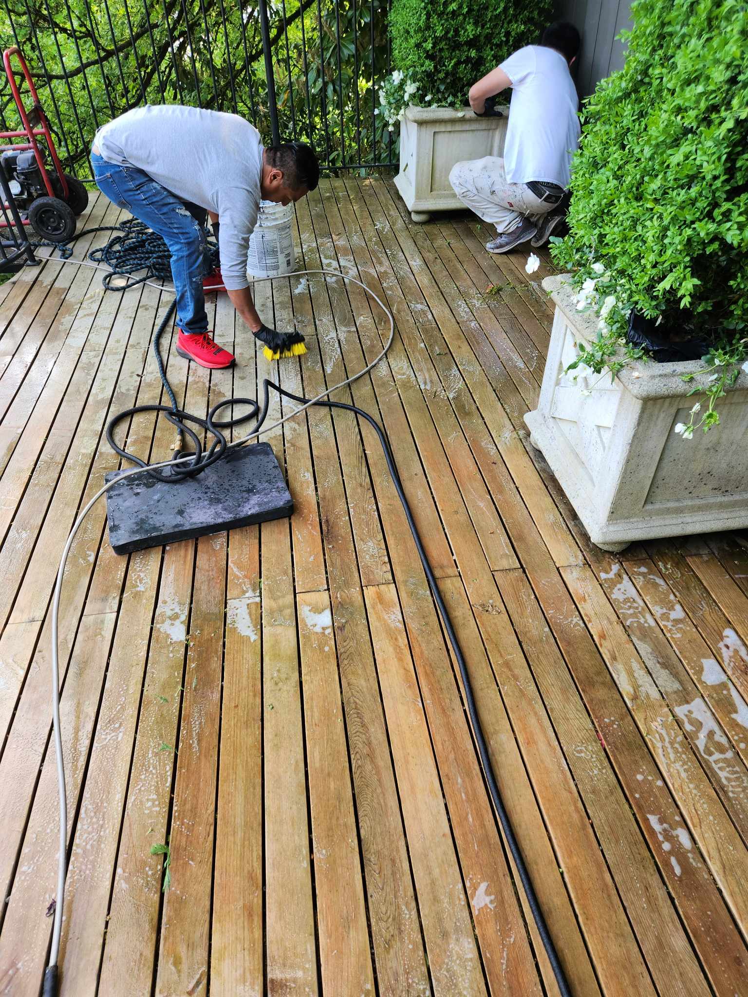 davida-painting-img21