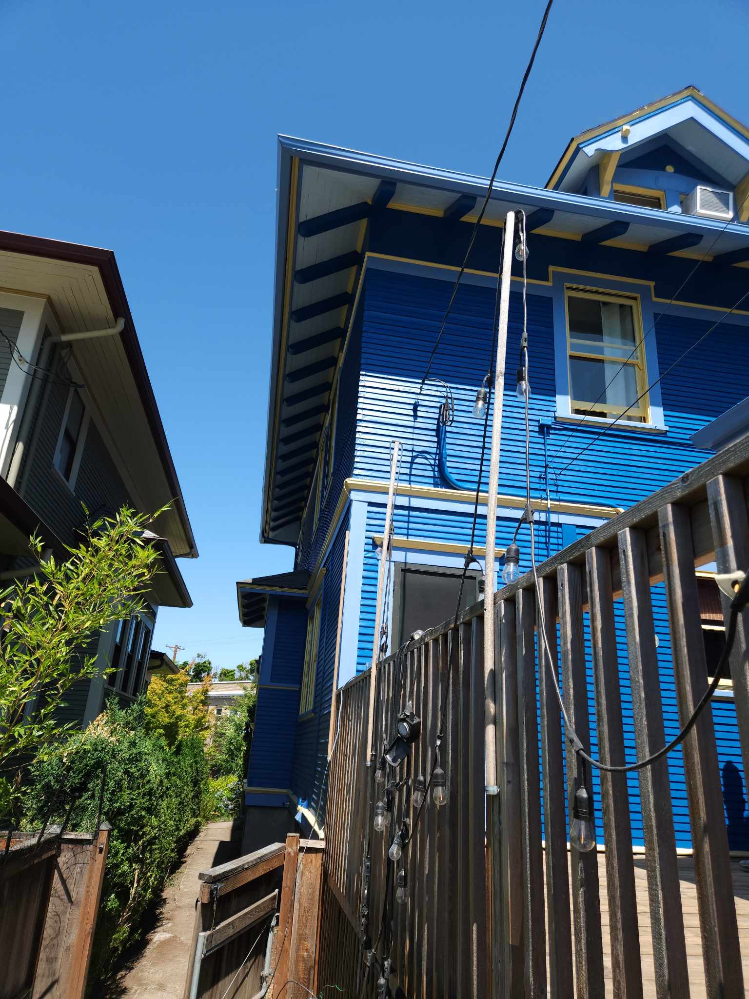 davida-painting-img12