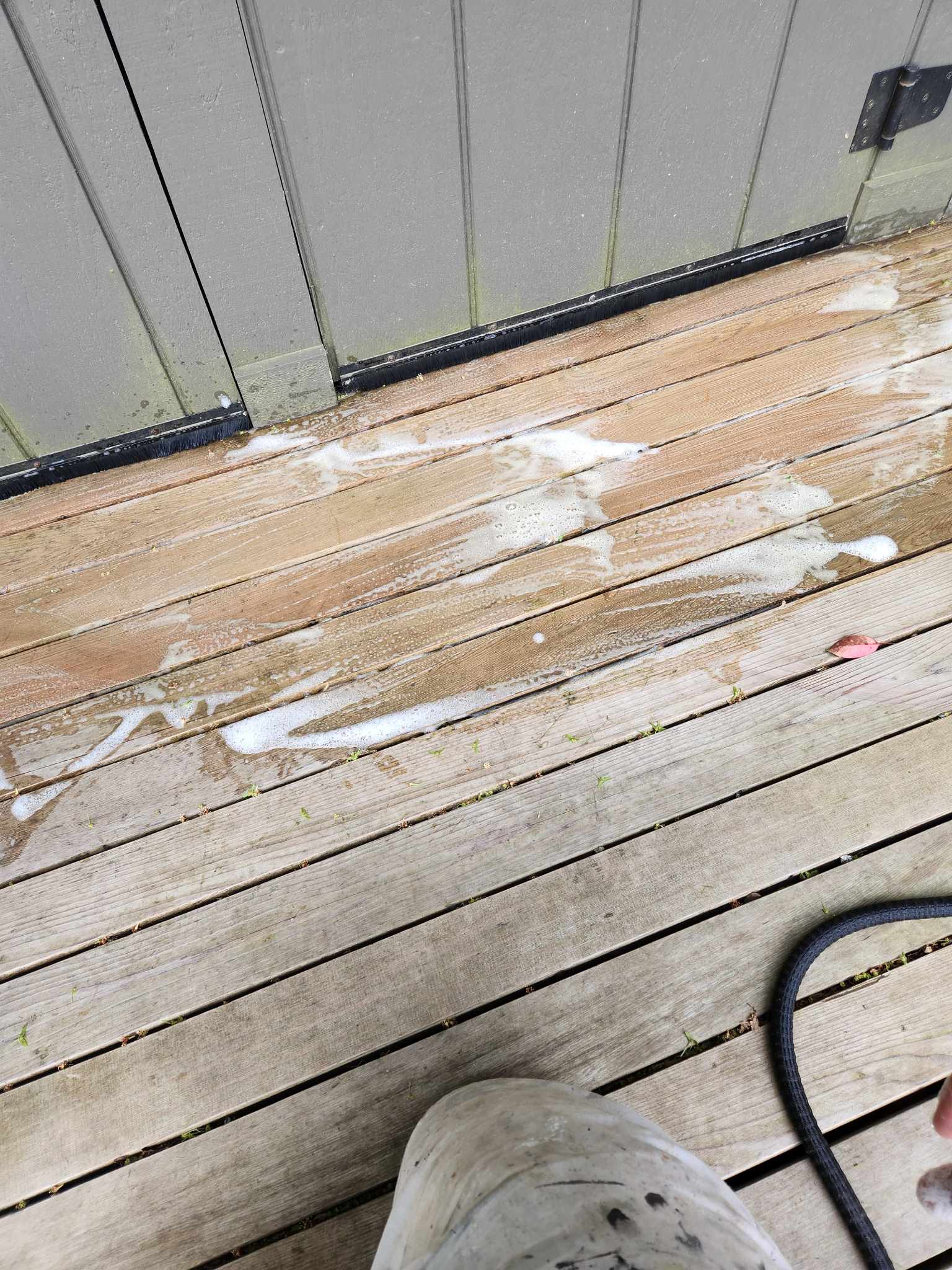 davida-painting-img13