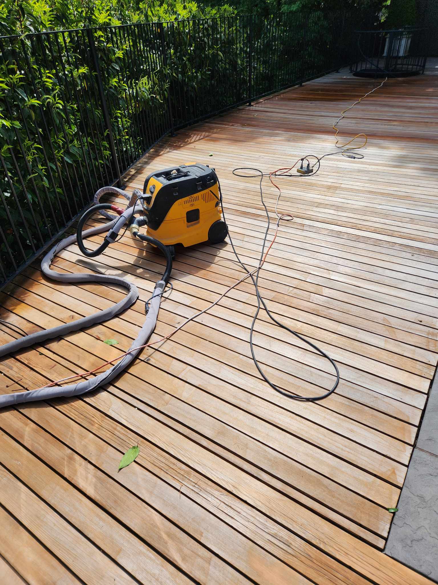 davida-painting-img4