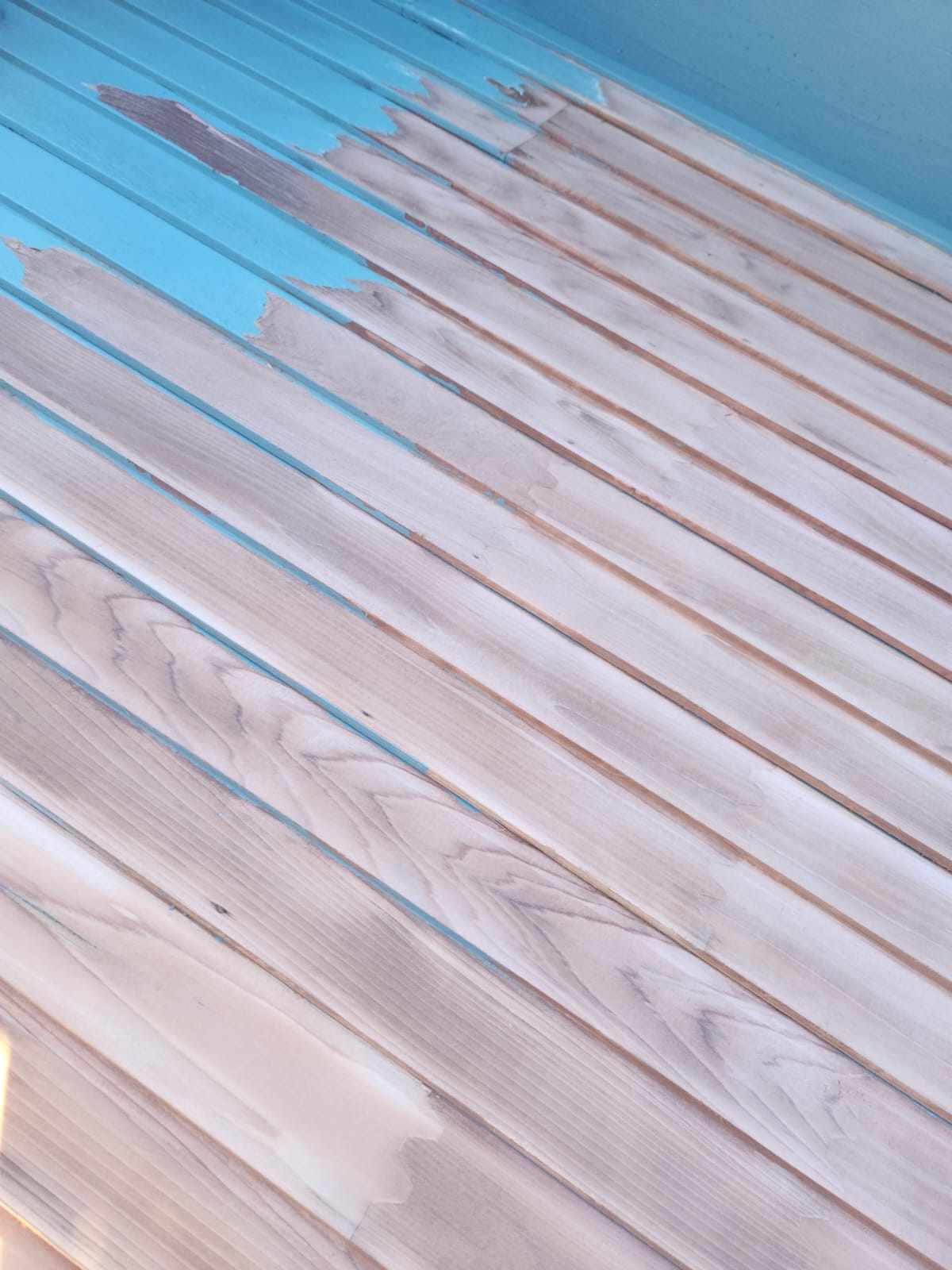 davida-painting-img1