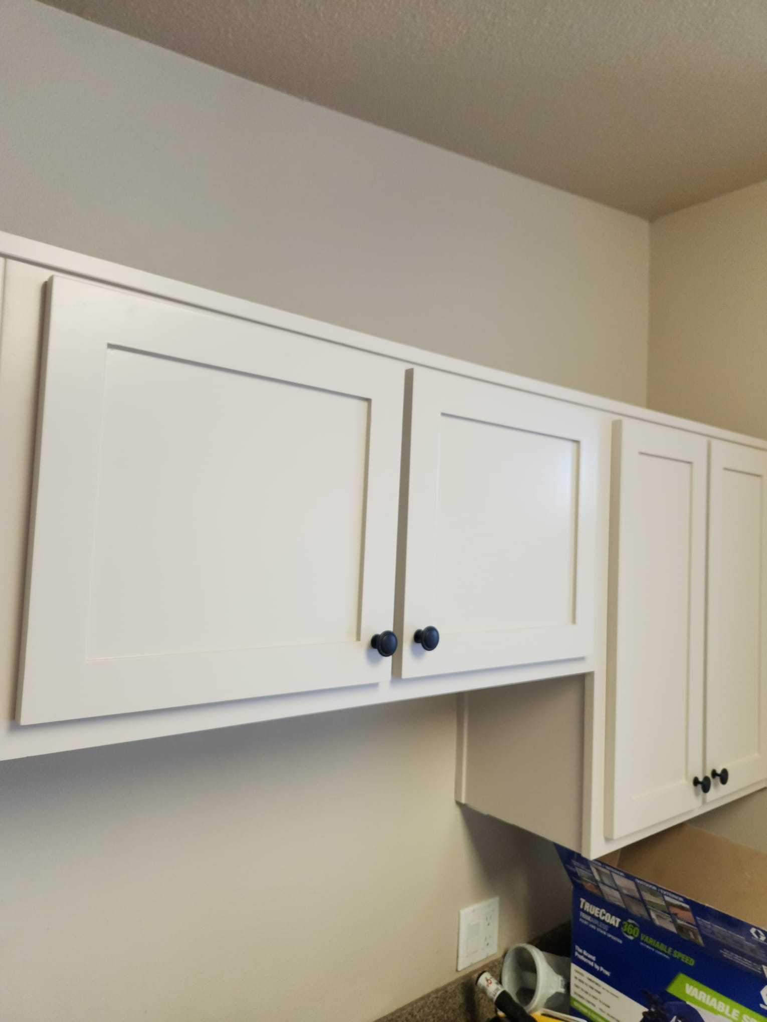 davida-painting-img196